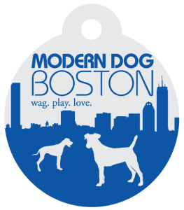 Modern Dog Boston